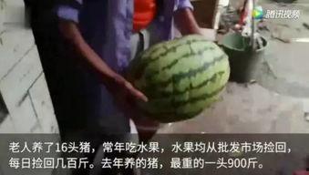 我吃瓜完整版视频,一场视觉与听觉的盛宴
