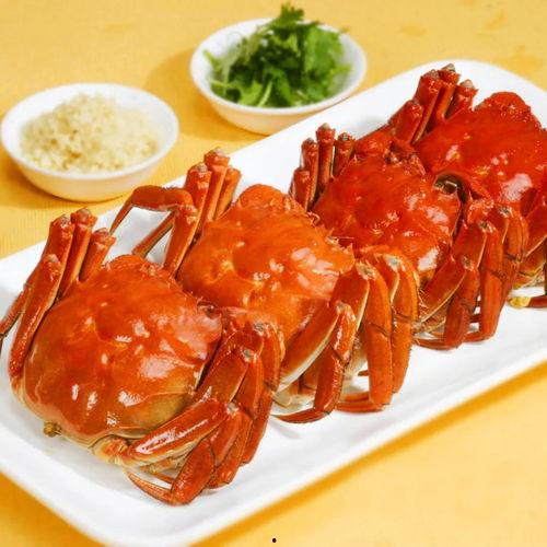 螃蟹吃瓜视频教程