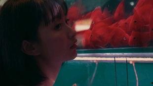 女生吃醋旁人吃瓜视频,女生吃醋与吃瓜视频背后的情感纠葛