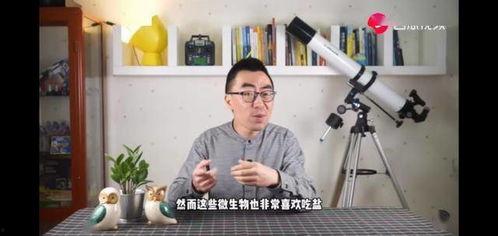 吃土瓜的视频大全,一场味蕾与视觉的盛宴